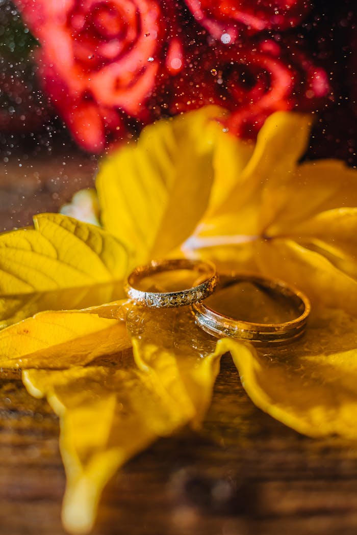Close-up of wedding rings on vibrant autumn leaves, symbolizing romance and commitment.